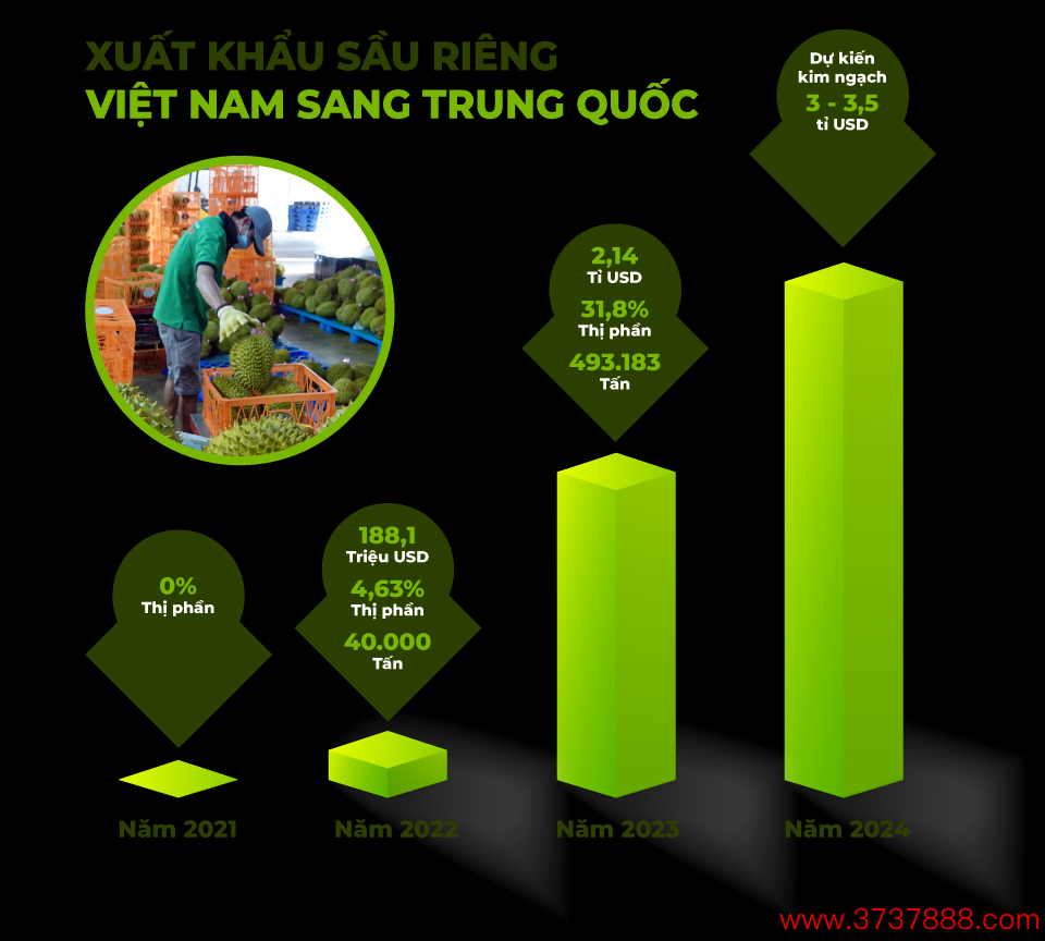 Sầu riêng Việt Nam bất ngờ "soán ngôi" Thái Lan- Ảnh 15.